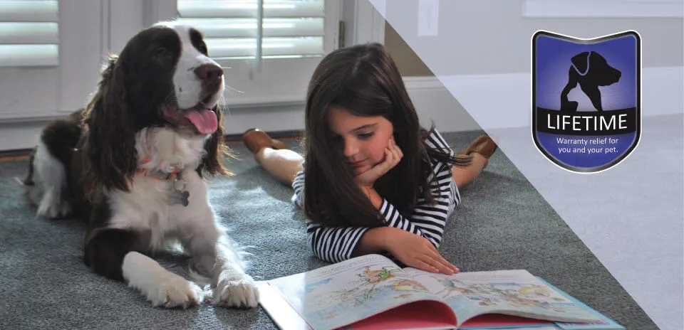 Dog on carpet with lifetime pet warranty